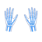 Curalini logo met handen en botstructuur